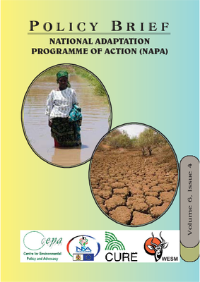 Policy Brief on National Adaptation Programme of Action