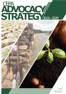 CEPA Advocacy Strategy 2016-2020