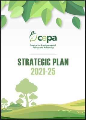 CEPA Strategic Plan 2021-2025