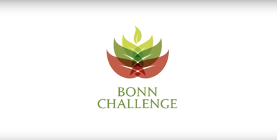 The Bonn Challenge Phase 2 